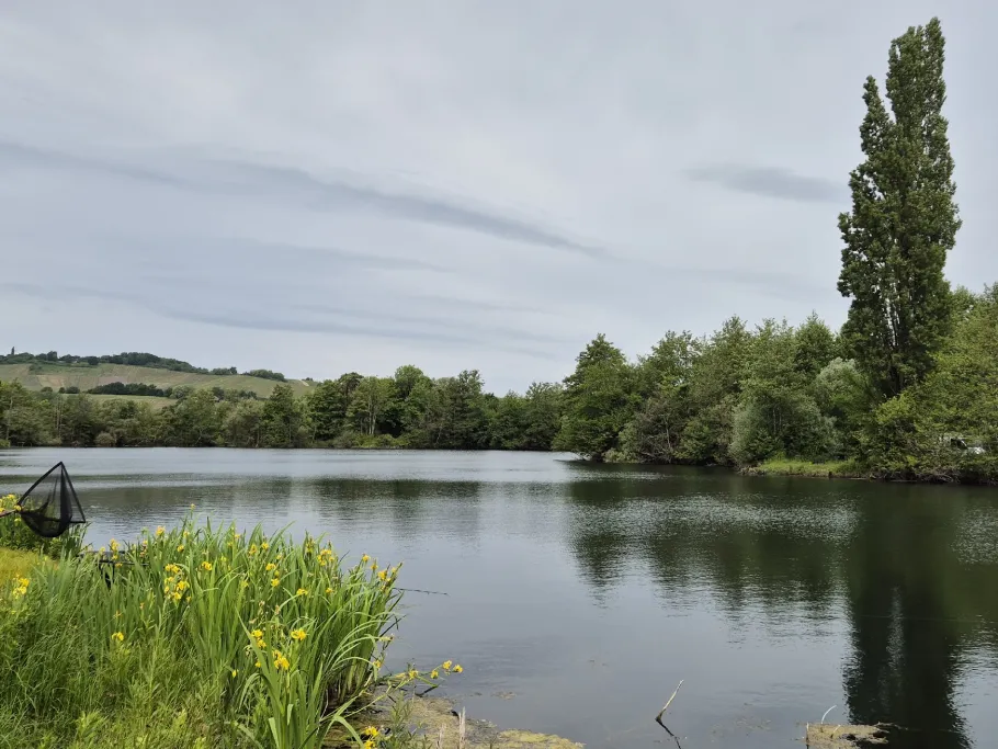 Vereinsgewässer ASV Besch angeln