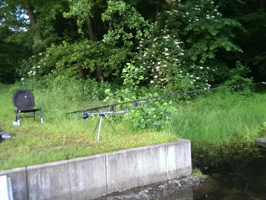 Steinbruchsee Steinheim angeln