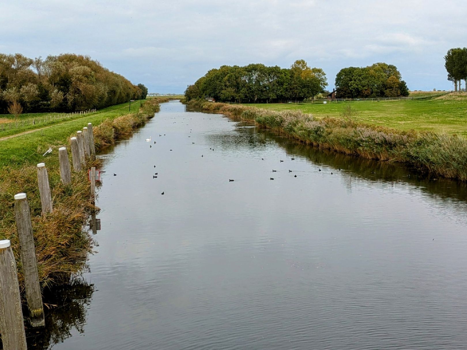 Haven van Dirksland angeln