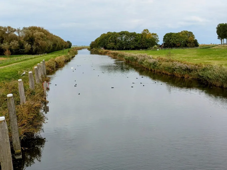 Haven van Dirksland angeln