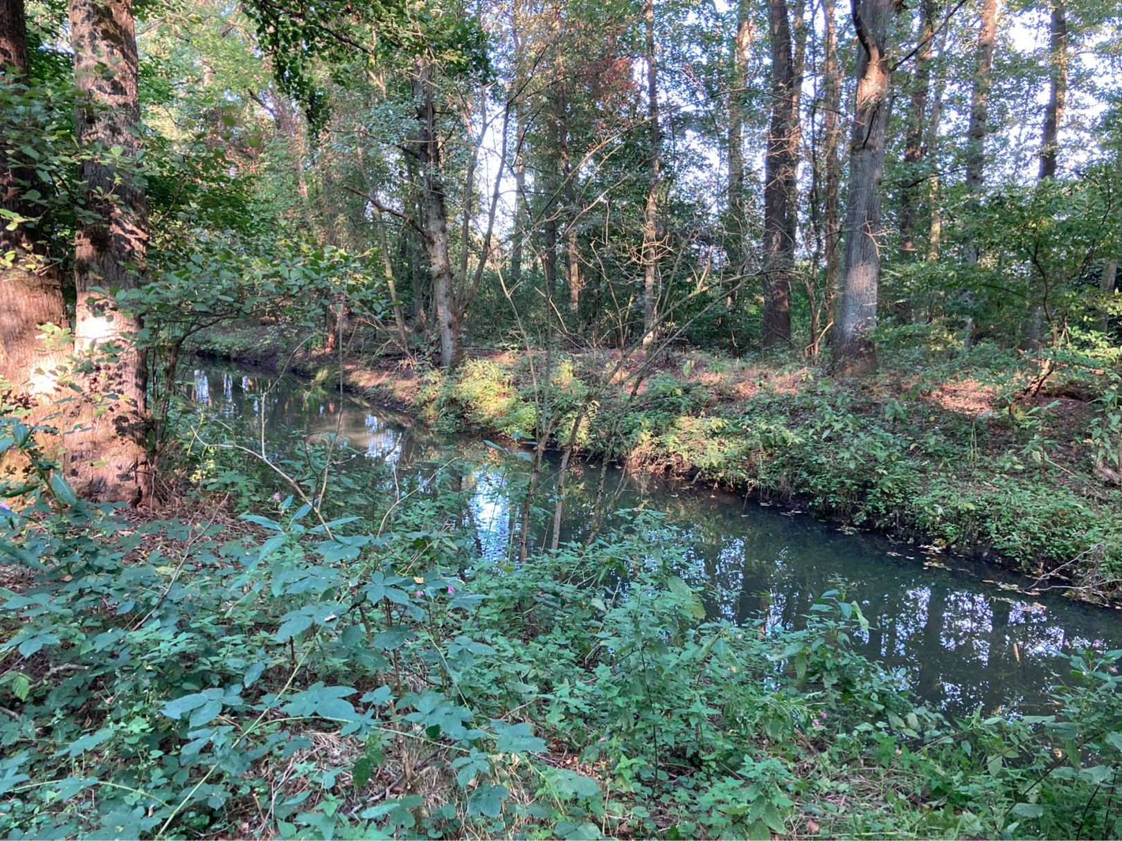 Geldernsch Nierskanal angeln