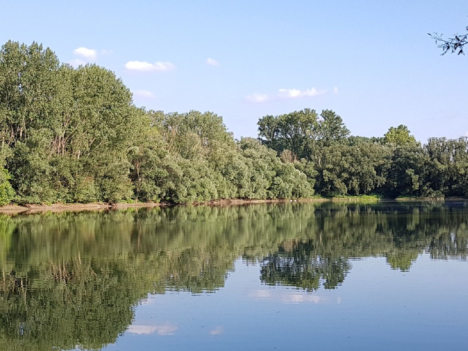 Monsterloch (Speyer) angeln