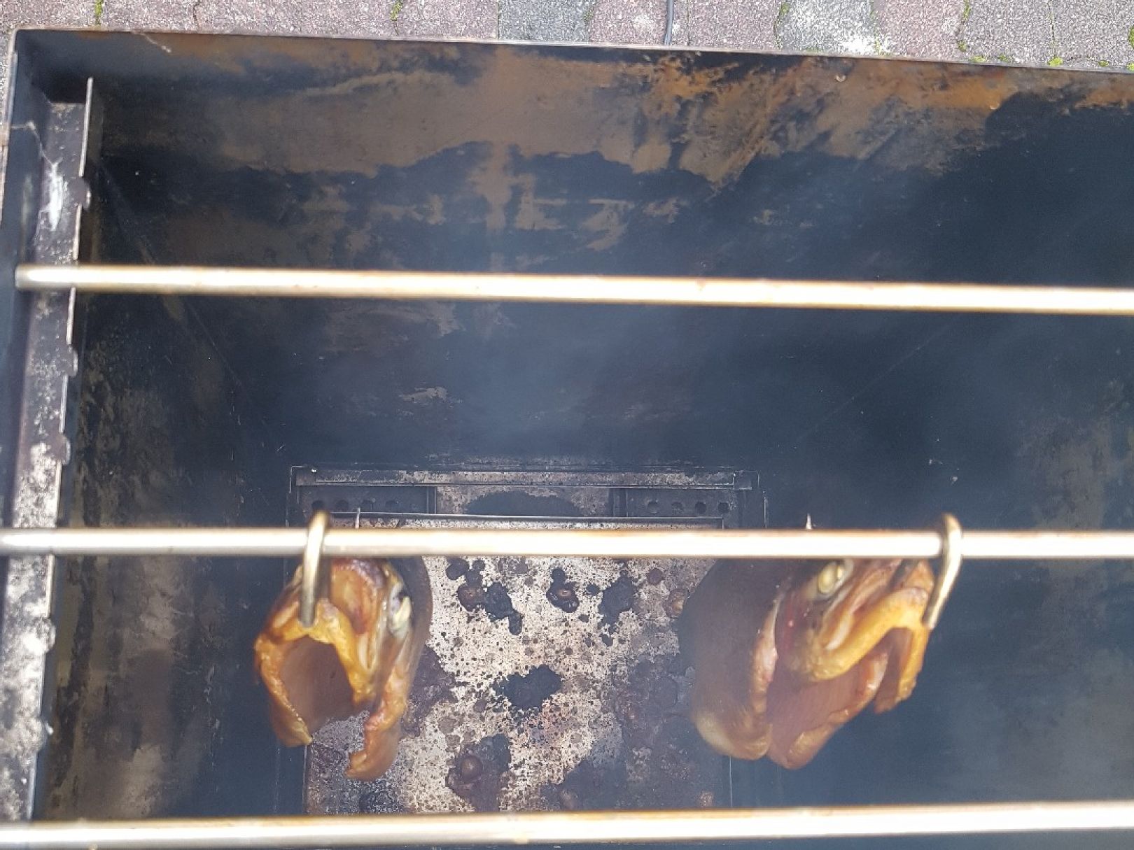 Sieg (Freusburg-Büdenholz) angeln