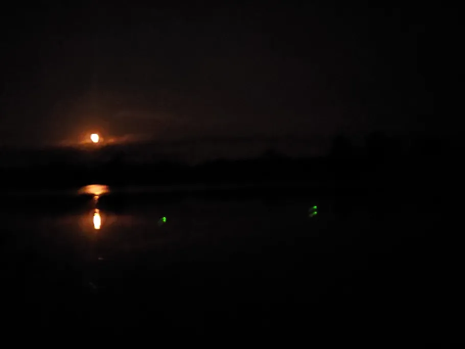 Kanal Schneider (Demmin) angeln