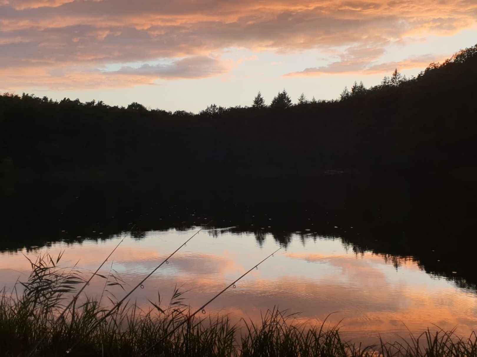 Kesselsee (Waldsieversdorf) angeln