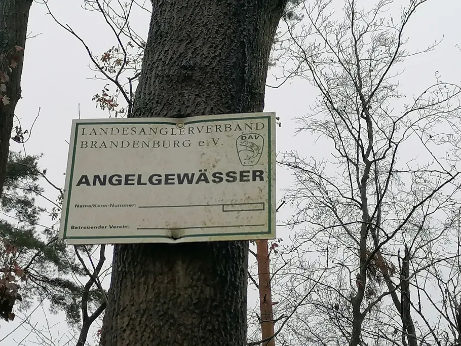 Kesselsee (Waldsieversdorf) angeln