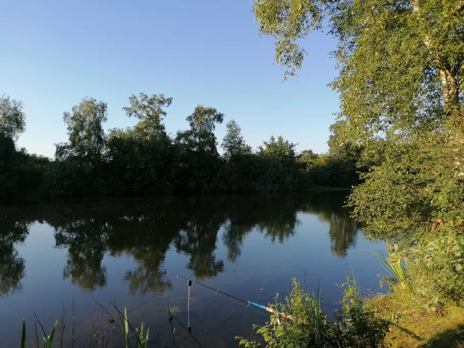 Kiesseen Schweindorf angeln