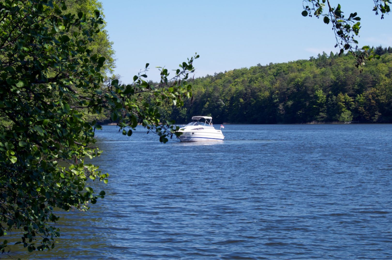 Röddelinsee angeln