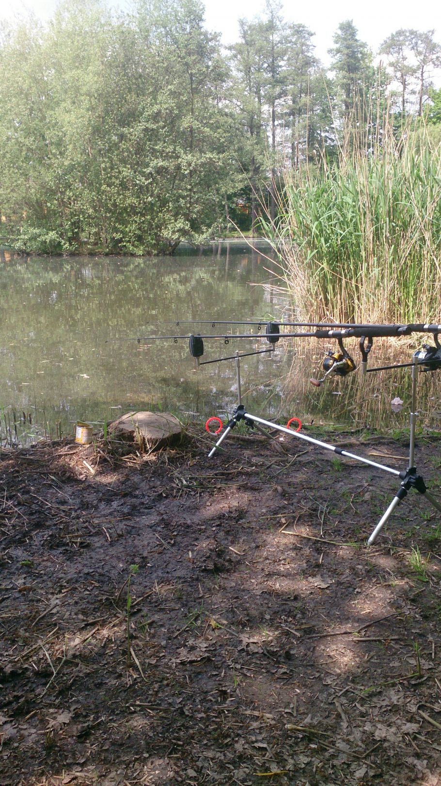 Pethauer Teich ALLE ANGELN