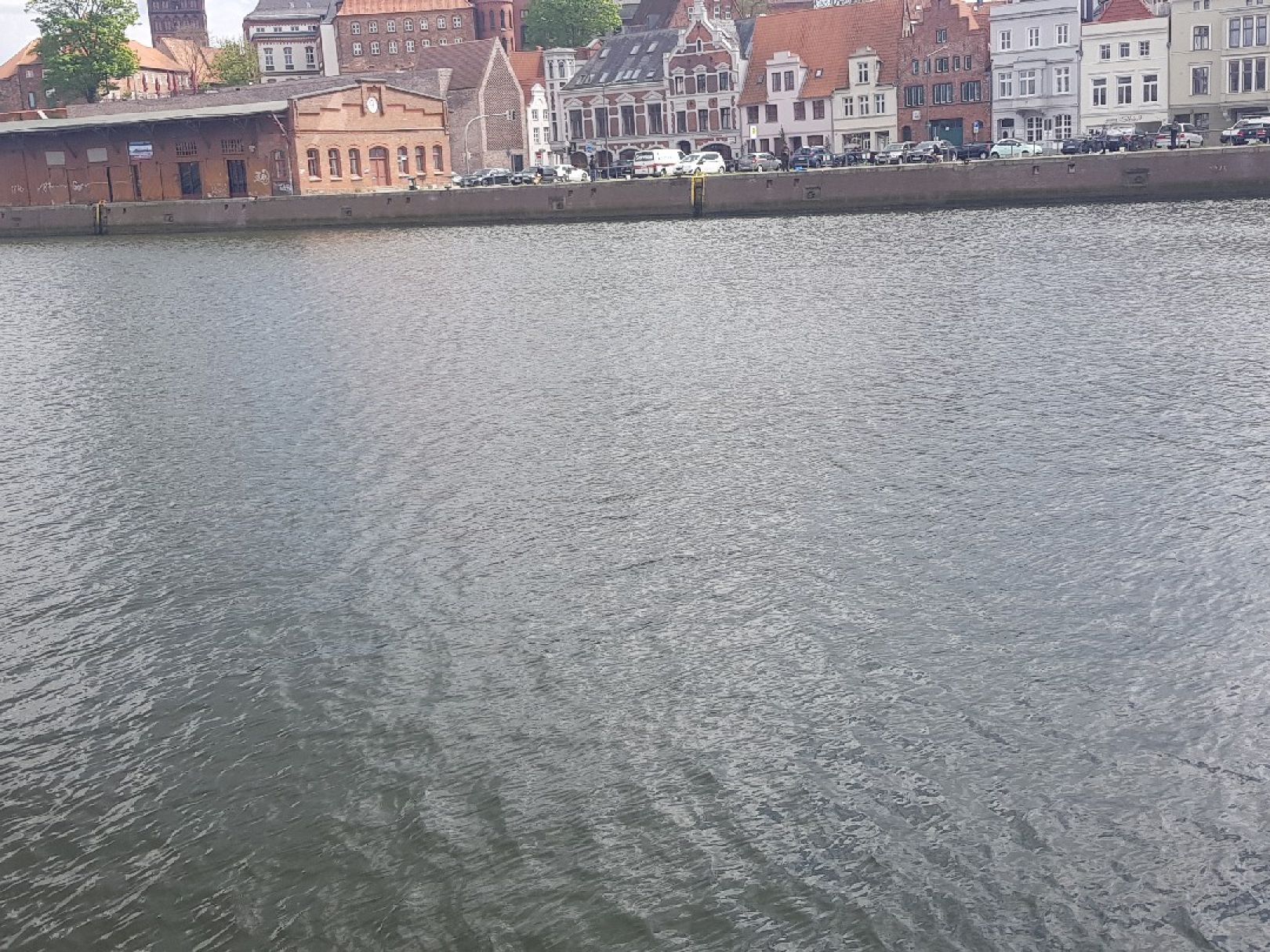 Trave (Lübeck) angeln