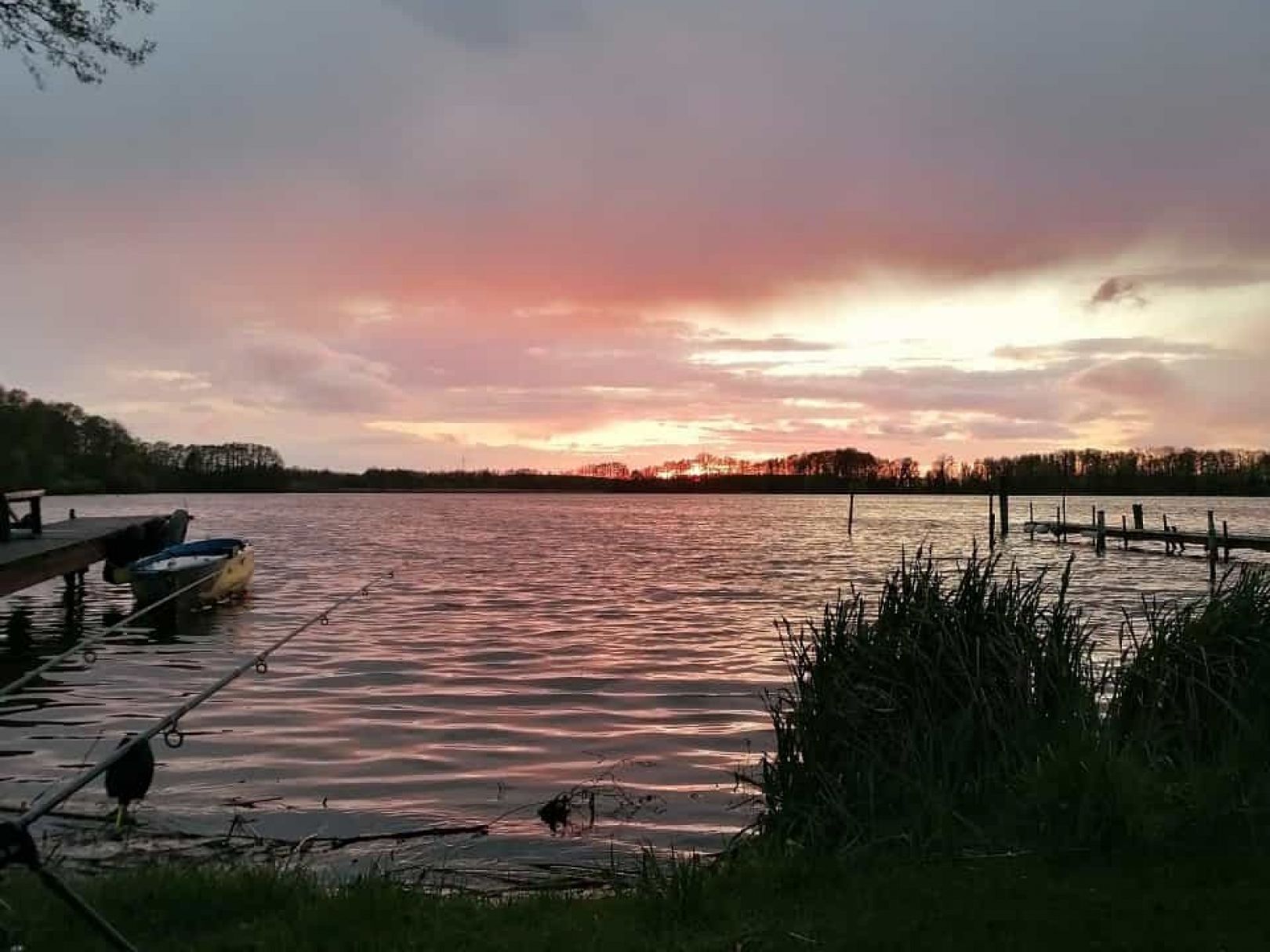 Schwielochsee angeln