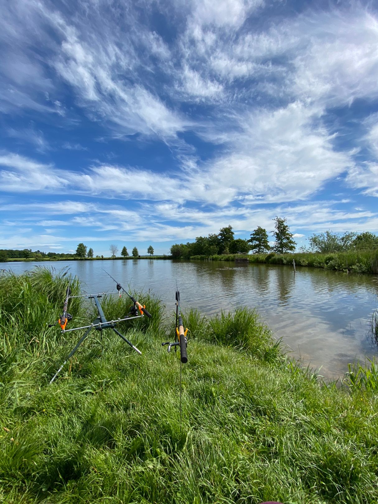 Rödicher Teich (Schnepfenthal) angeln