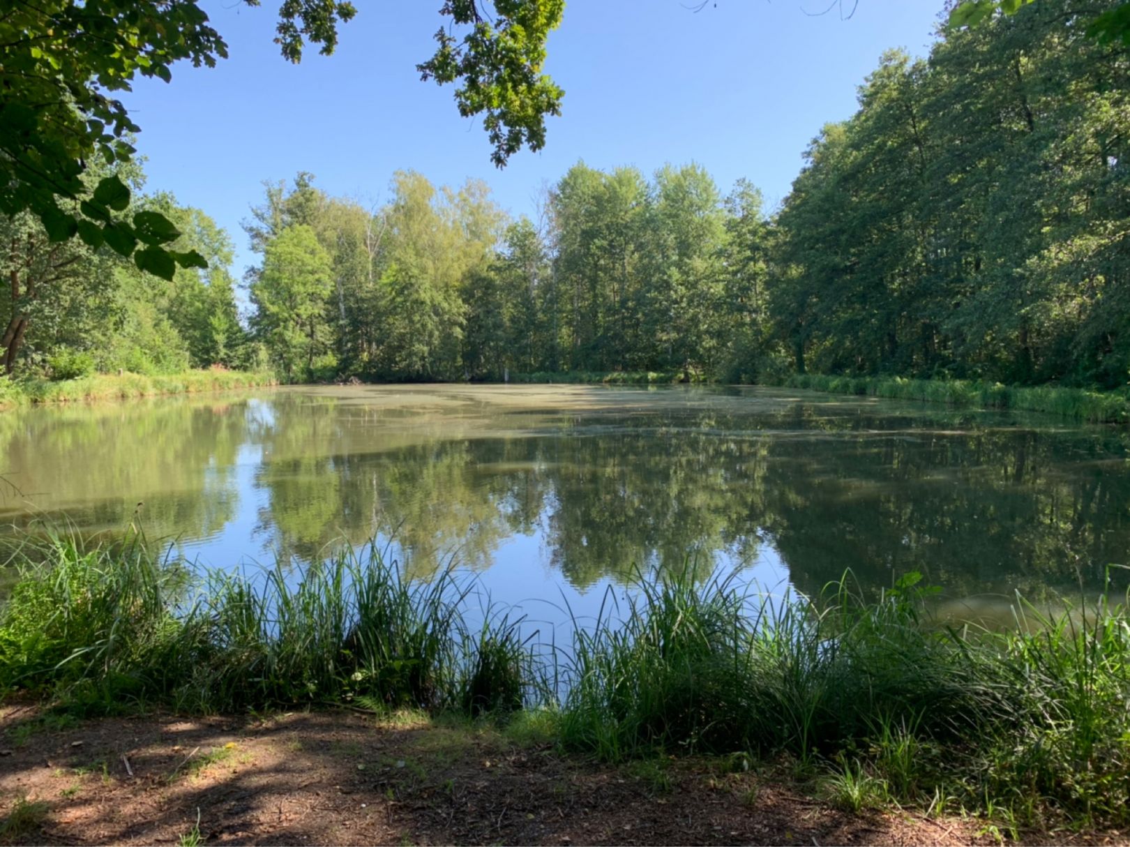 Alte Badeanstalt Lübbenau angeln