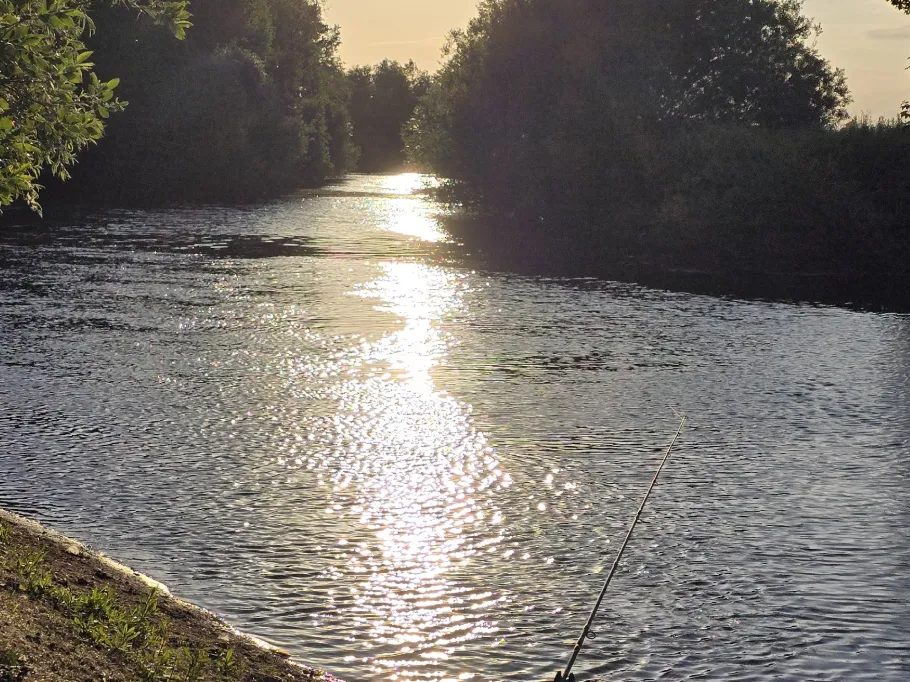 Ems (Harsewinkel) angeln