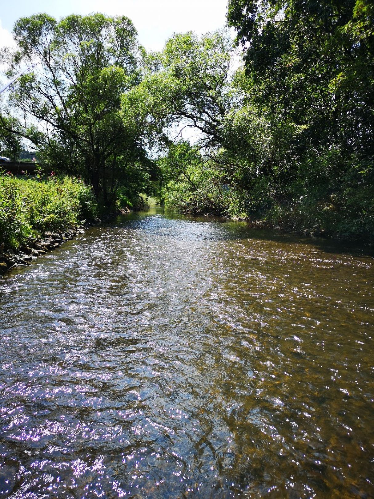 Wied (Döttesfeld) angeln