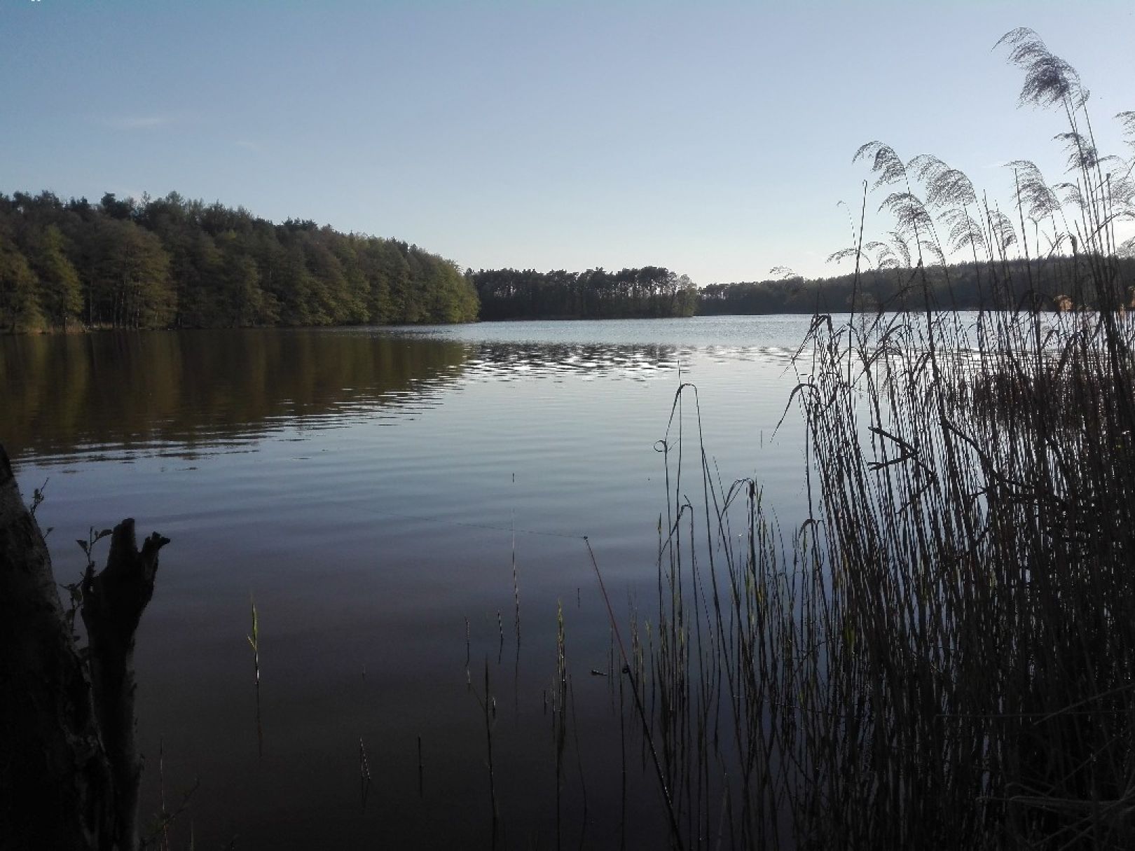 Maxsee (Hoppegarten) angeln