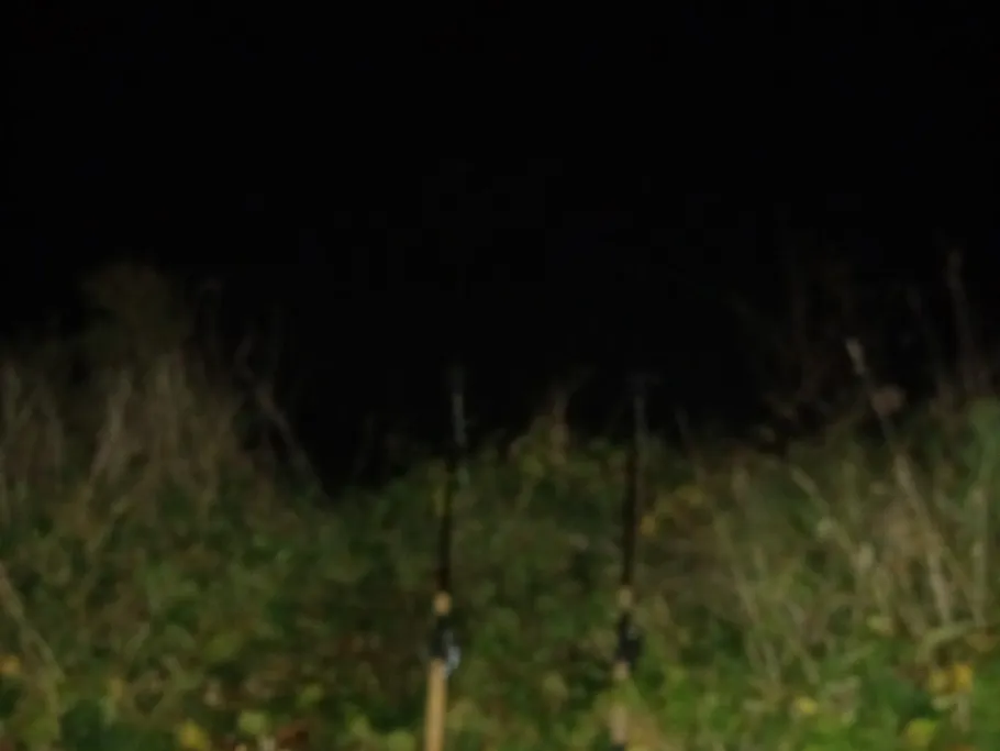 Mittellandkanal (Hille/Westfalen) angeln