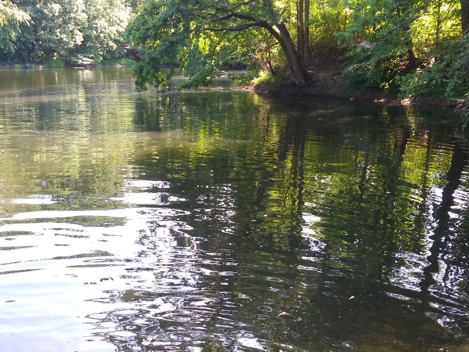 Hubertussee (Borgsdorf) angeln