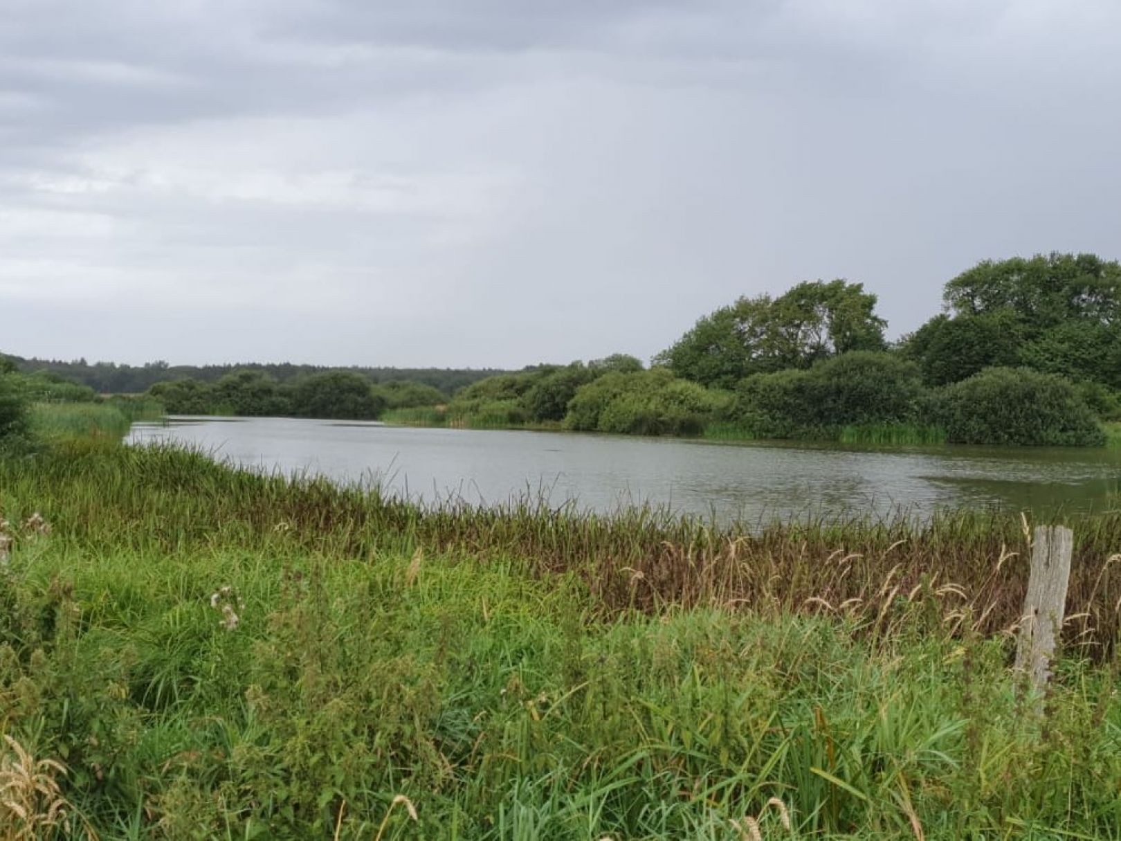 Hanstorfer Moor angeln