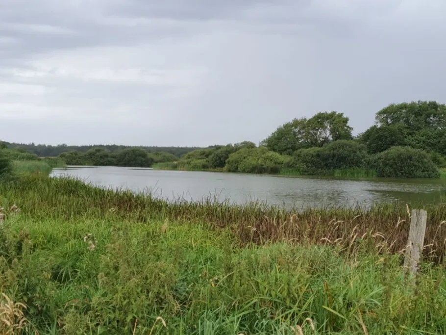 Hanstorfer Moor angeln