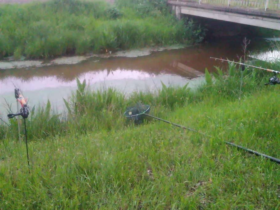 Tweelbäker Randgraben angeln