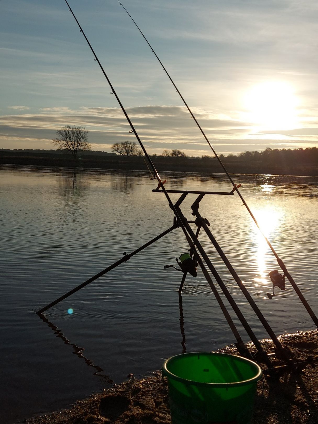 Elbe (Hohenwarthe) angeln