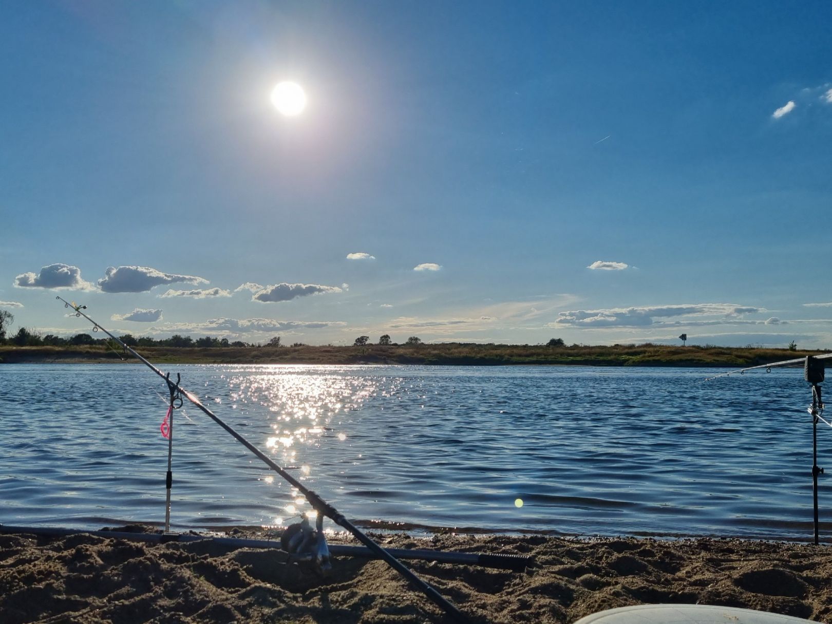 Elbe (Hohenwarthe) angeln