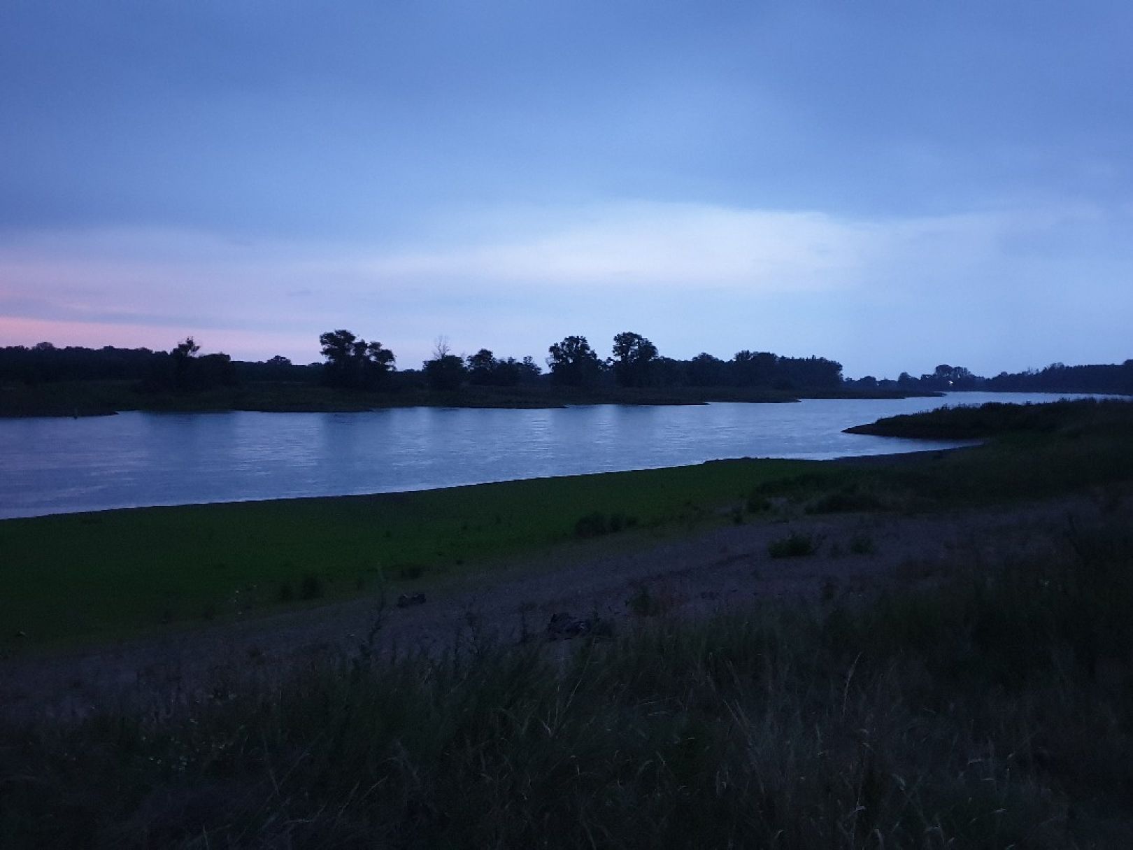 Elbe (Hohenwarthe) angeln