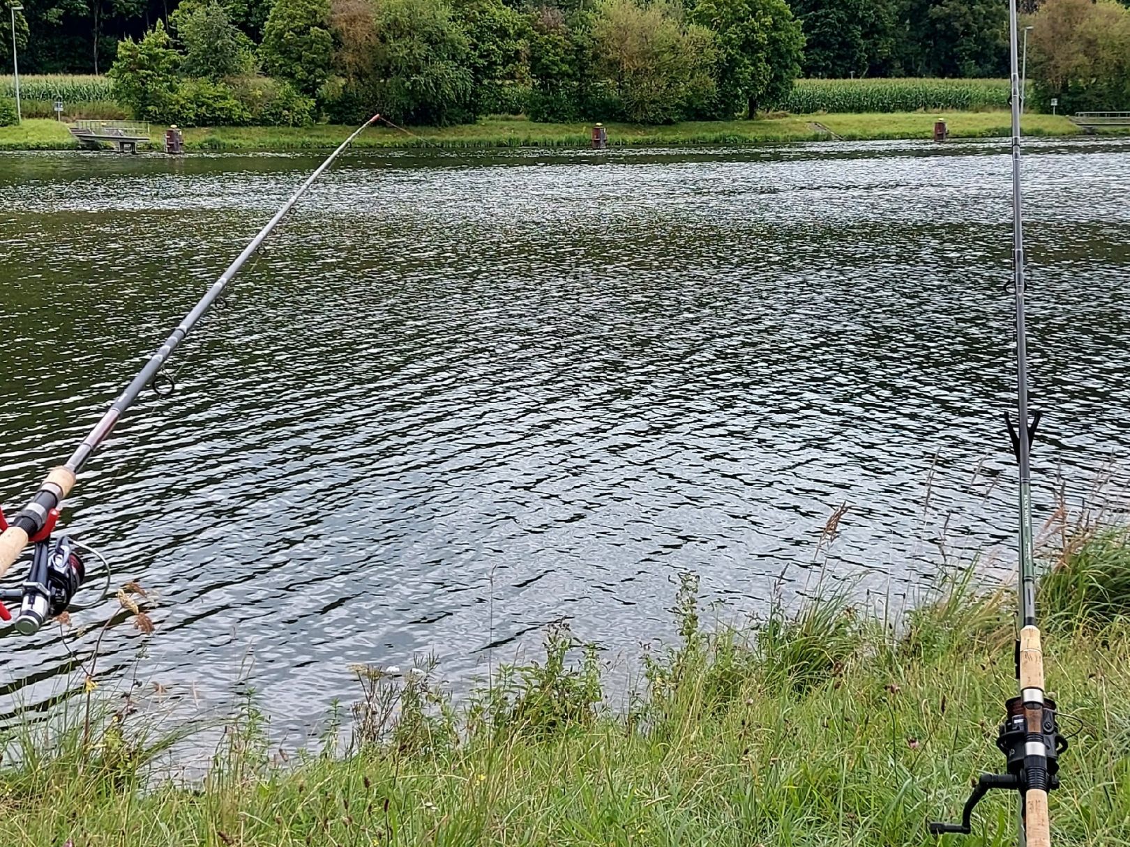 Main-Donau-Kanal (Kelheim) angeln