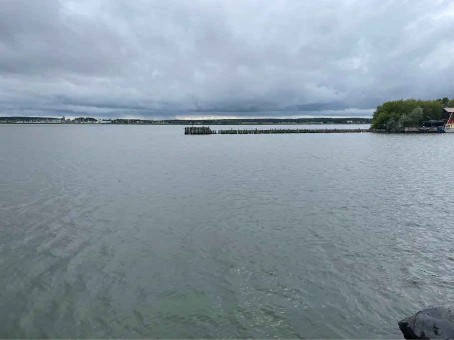 Peenestrom (Peenemünde) angeln