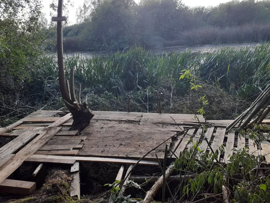 Torfmoor (Steinhausen) angeln