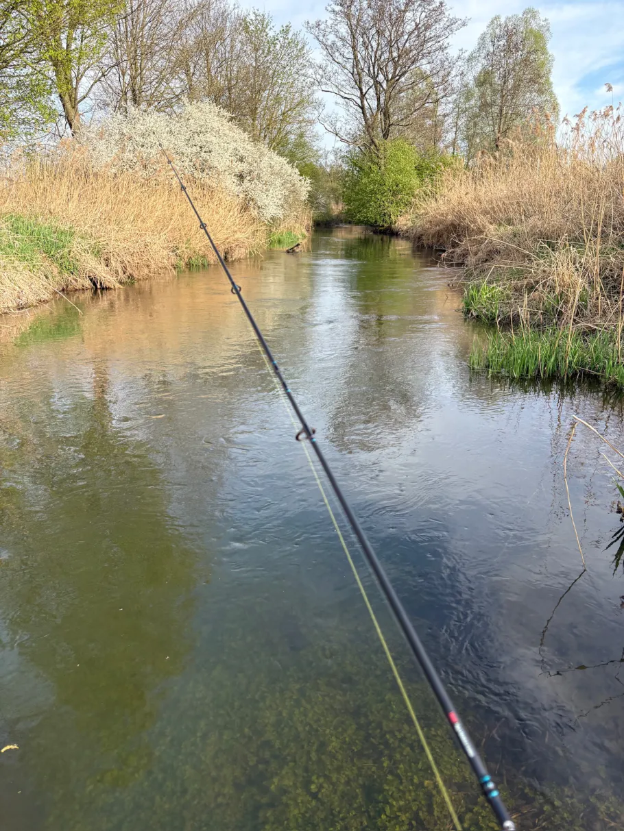 Alte Dorfen (Eitting) angeln