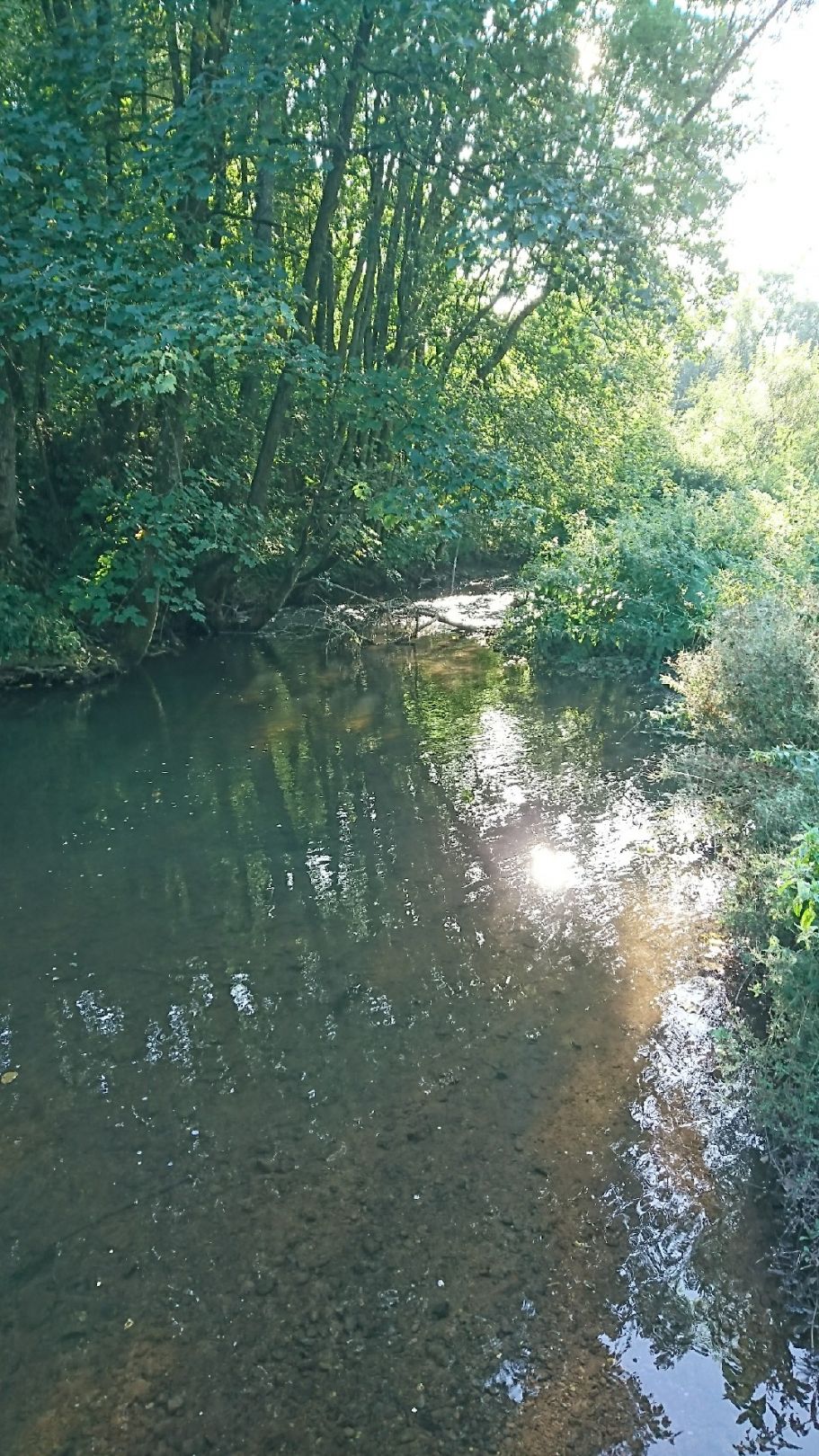 Angeln in Kerpen (Eifel)