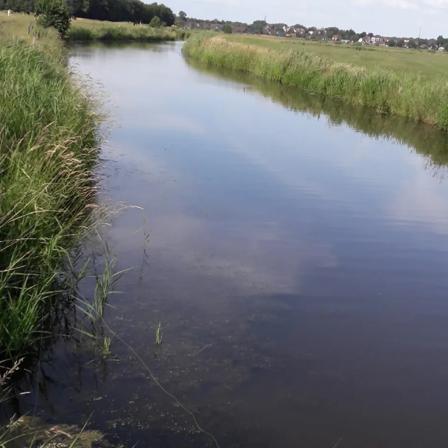 Finkhauswehle (Husum) angeln