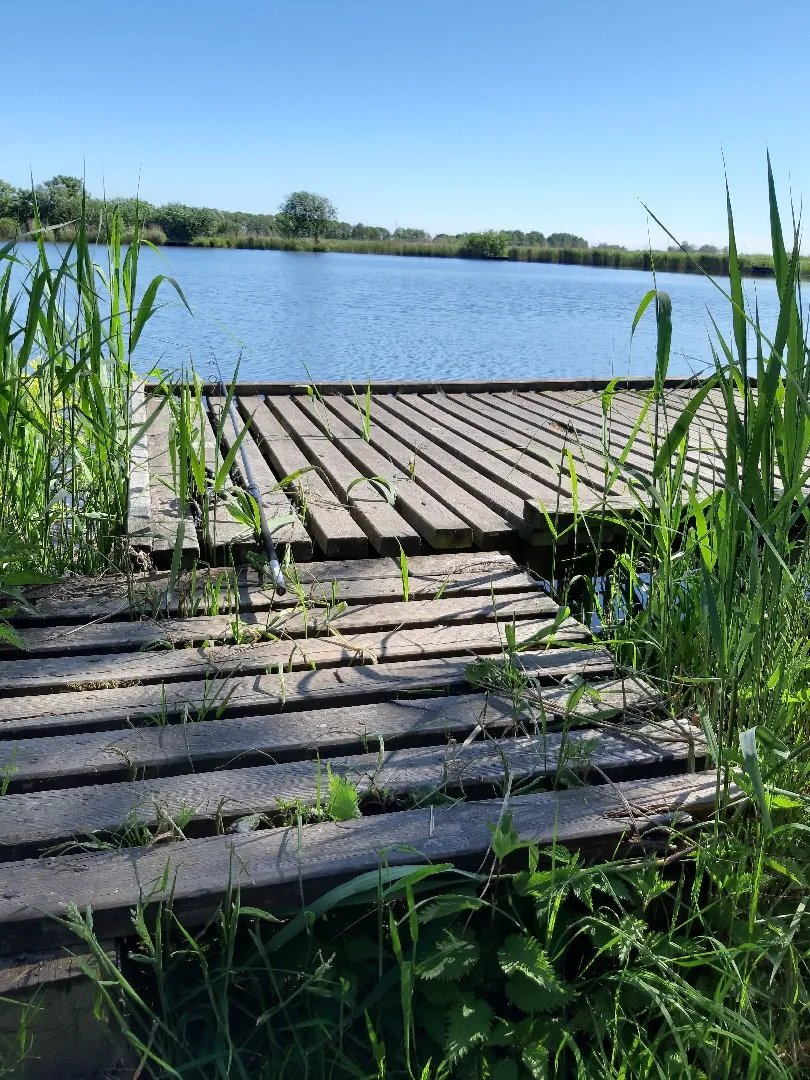 Finkhauswehle (Husum) angeln