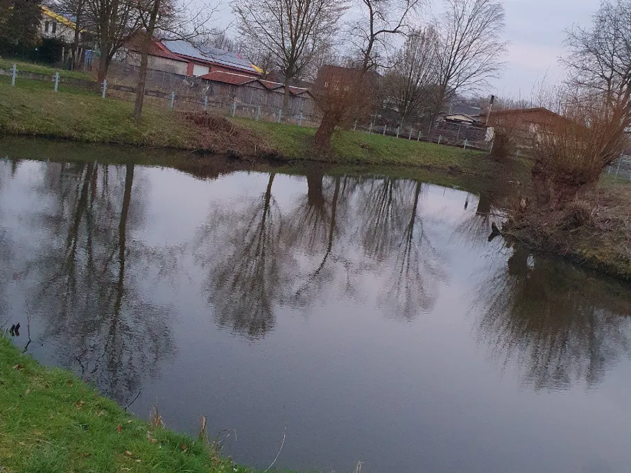 Sundermannteich (Heek) angeln