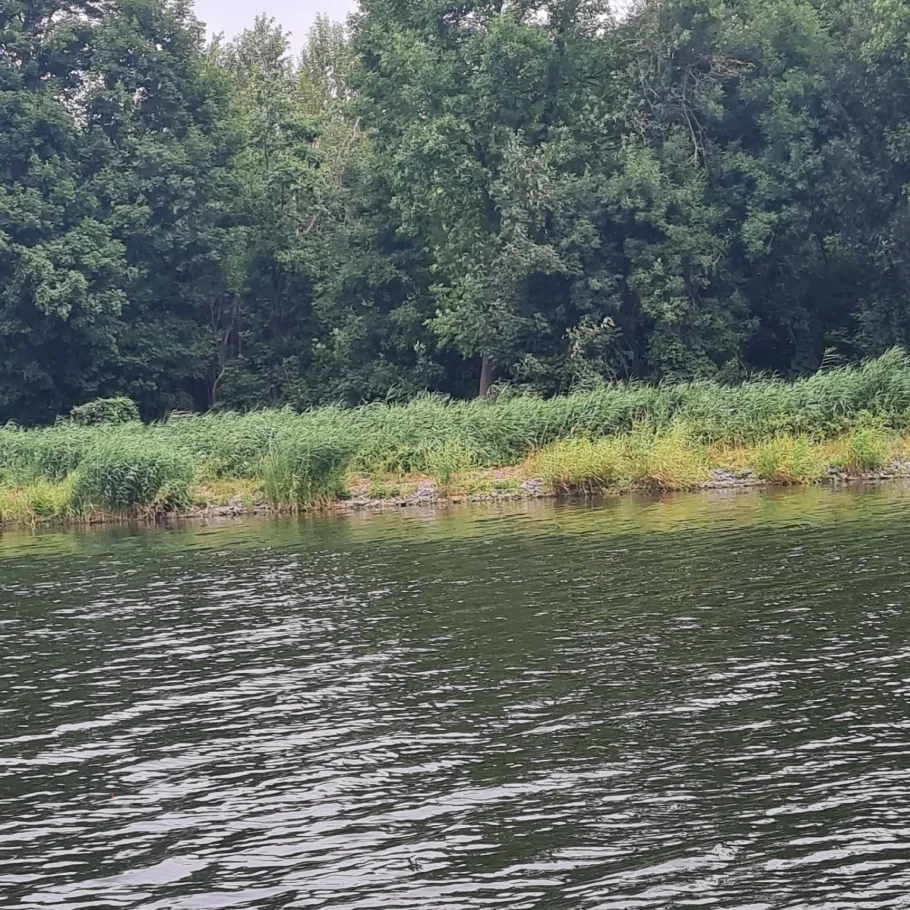 Sacrow-Paretzer Kanal angeln