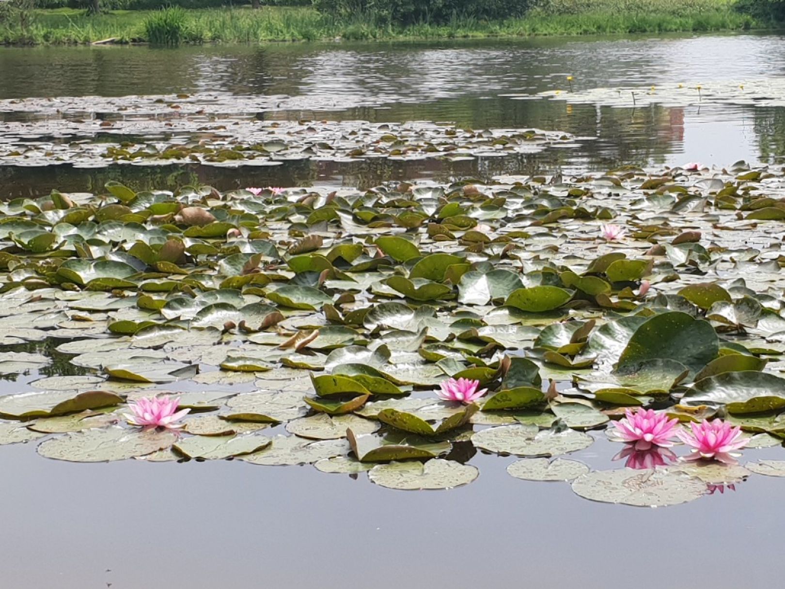 Keller Stausee angeln