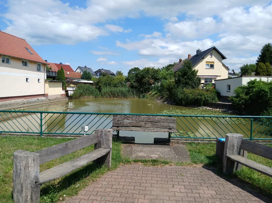 Mescheders Teich (Schwemsal) angeln