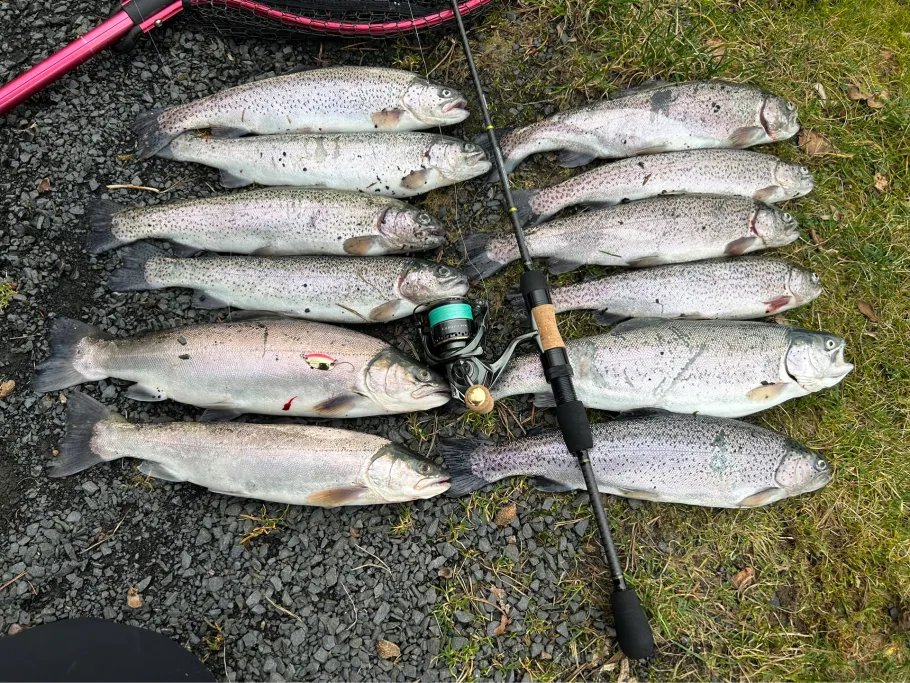 Teichanlage Blaeser angeln