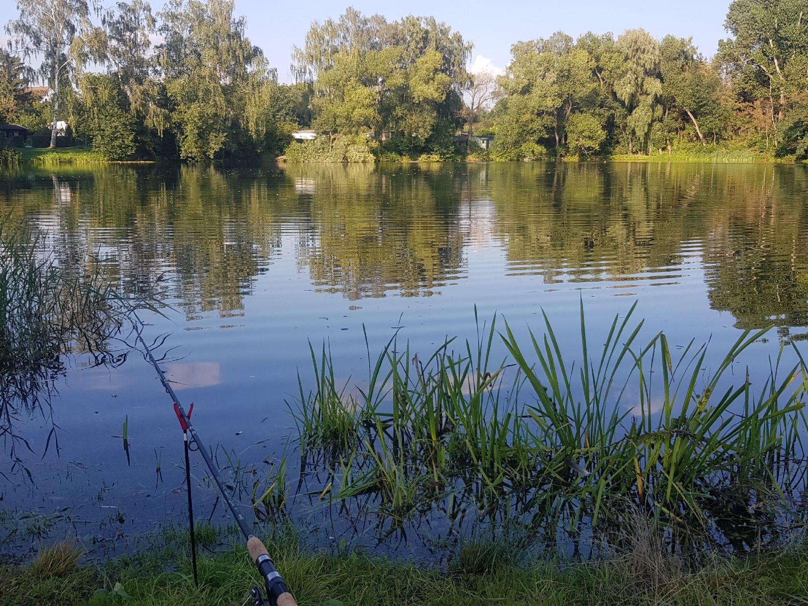 Naturbad Rehmsdorf angeln