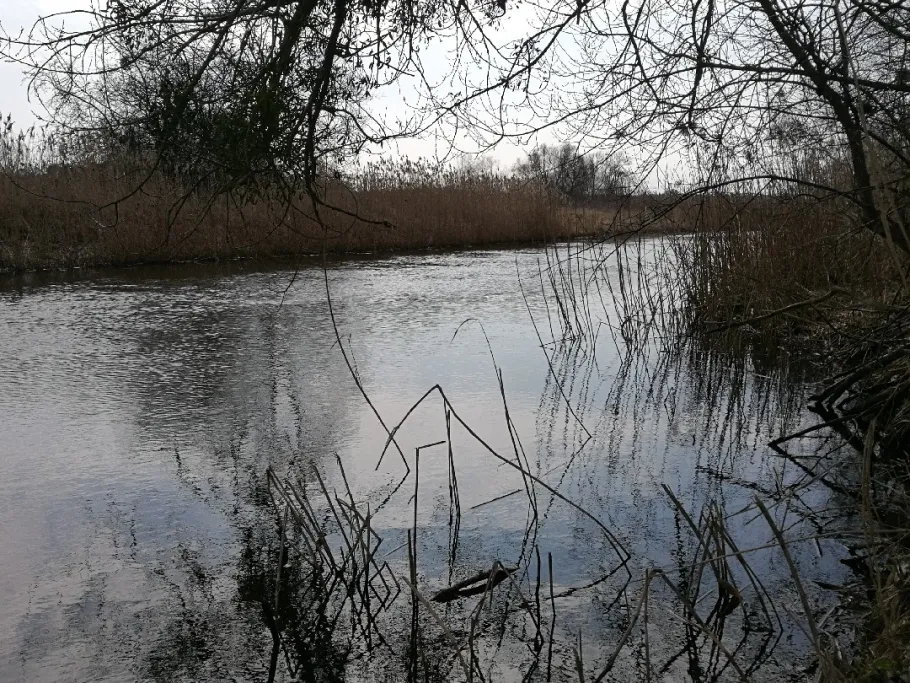 Nuthe (Nuthetal) angeln