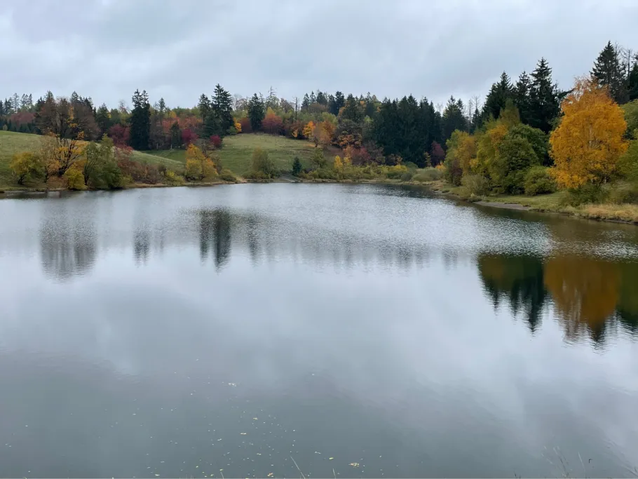 Unterer Eschenbacher Teich angeln
