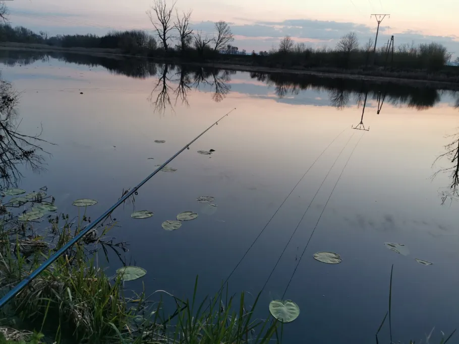 Starorzecze Odry (Stradunia) angeln