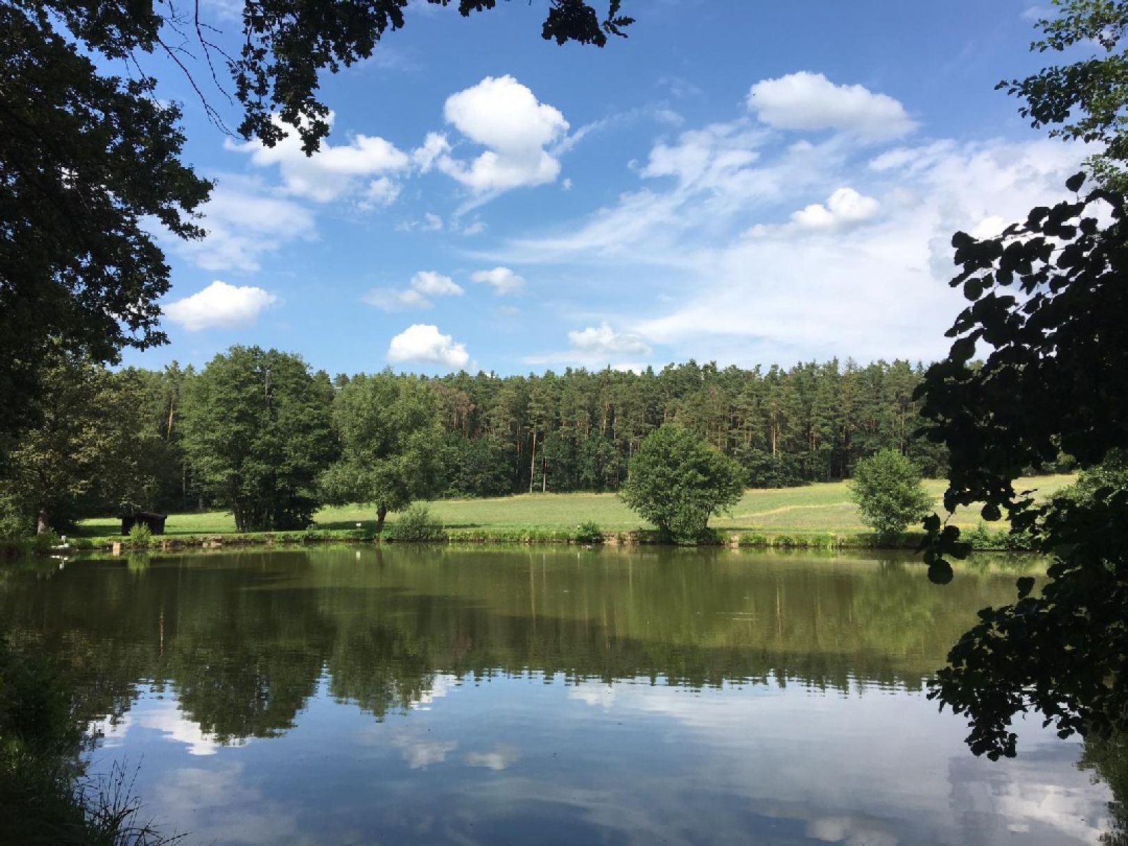 Manta-Weiher (Burgthann) angeln