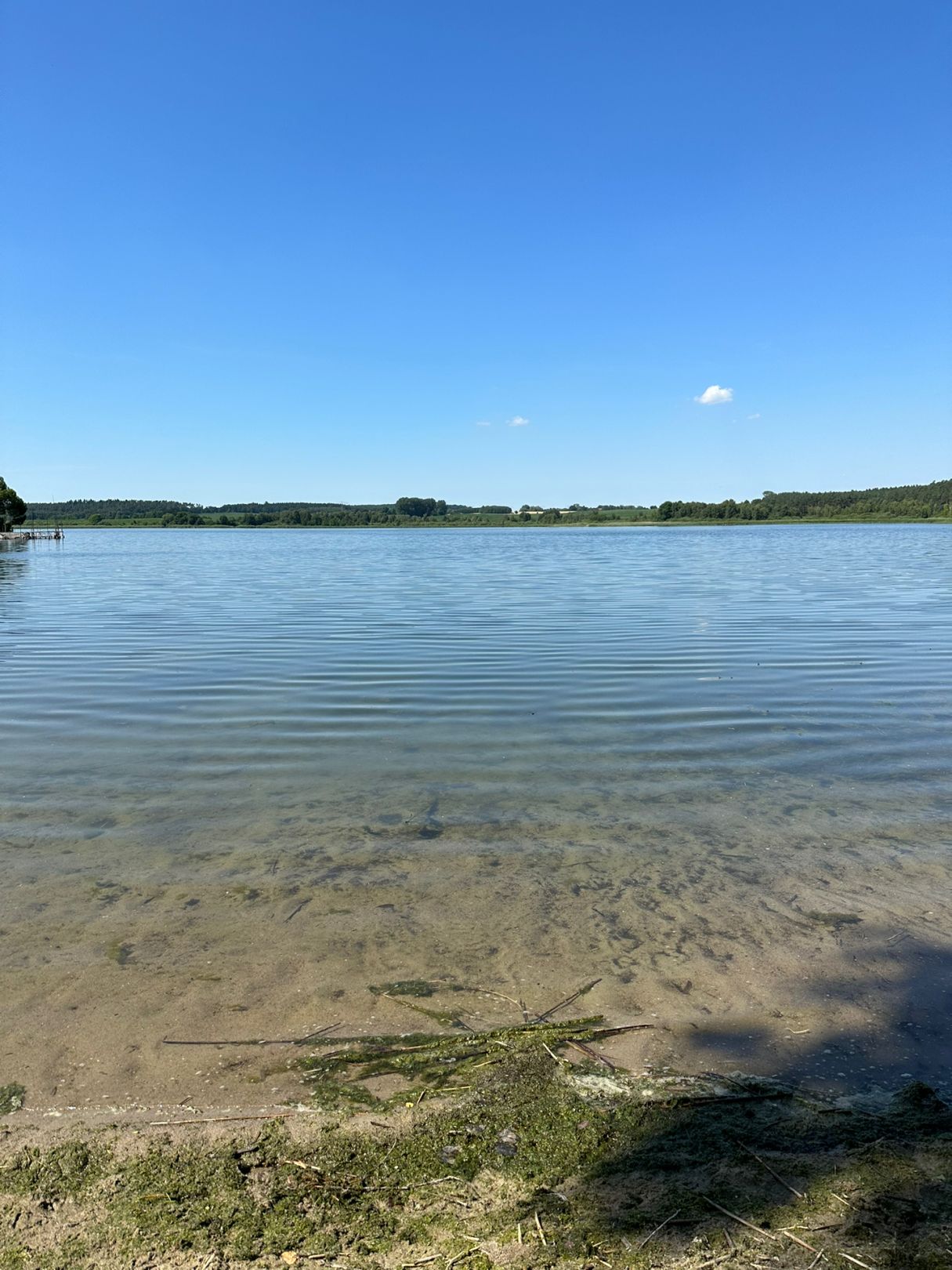 Lohmer See angeln
