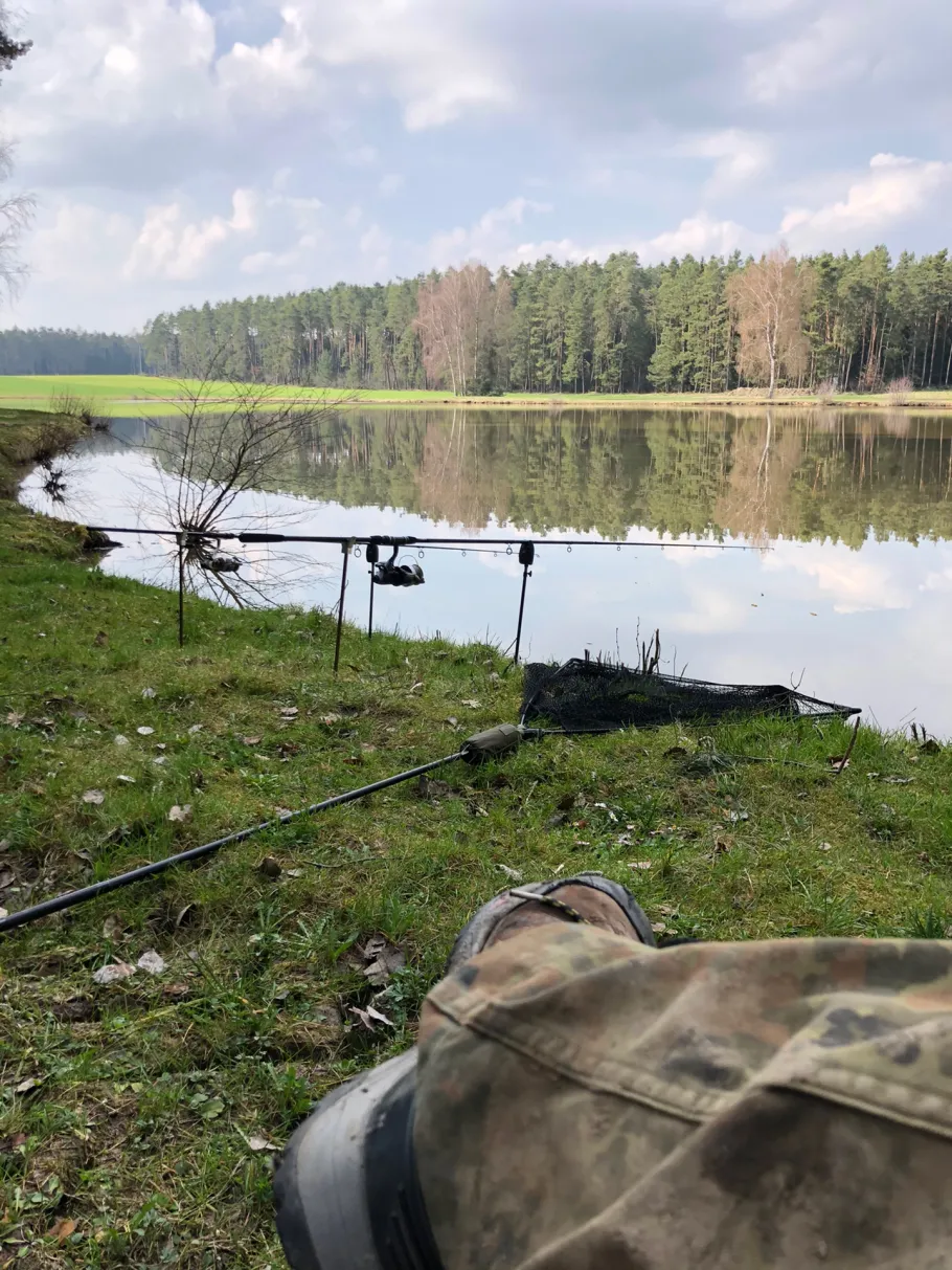 Altweiher (Bechhofen) angeln