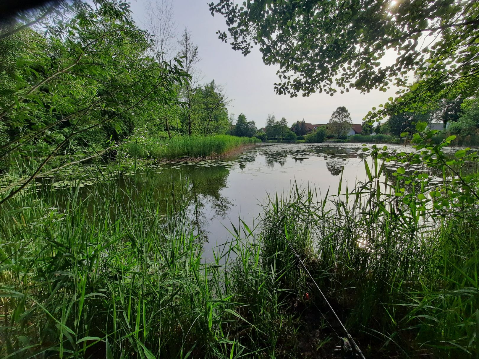 Schlierer Weiher angeln