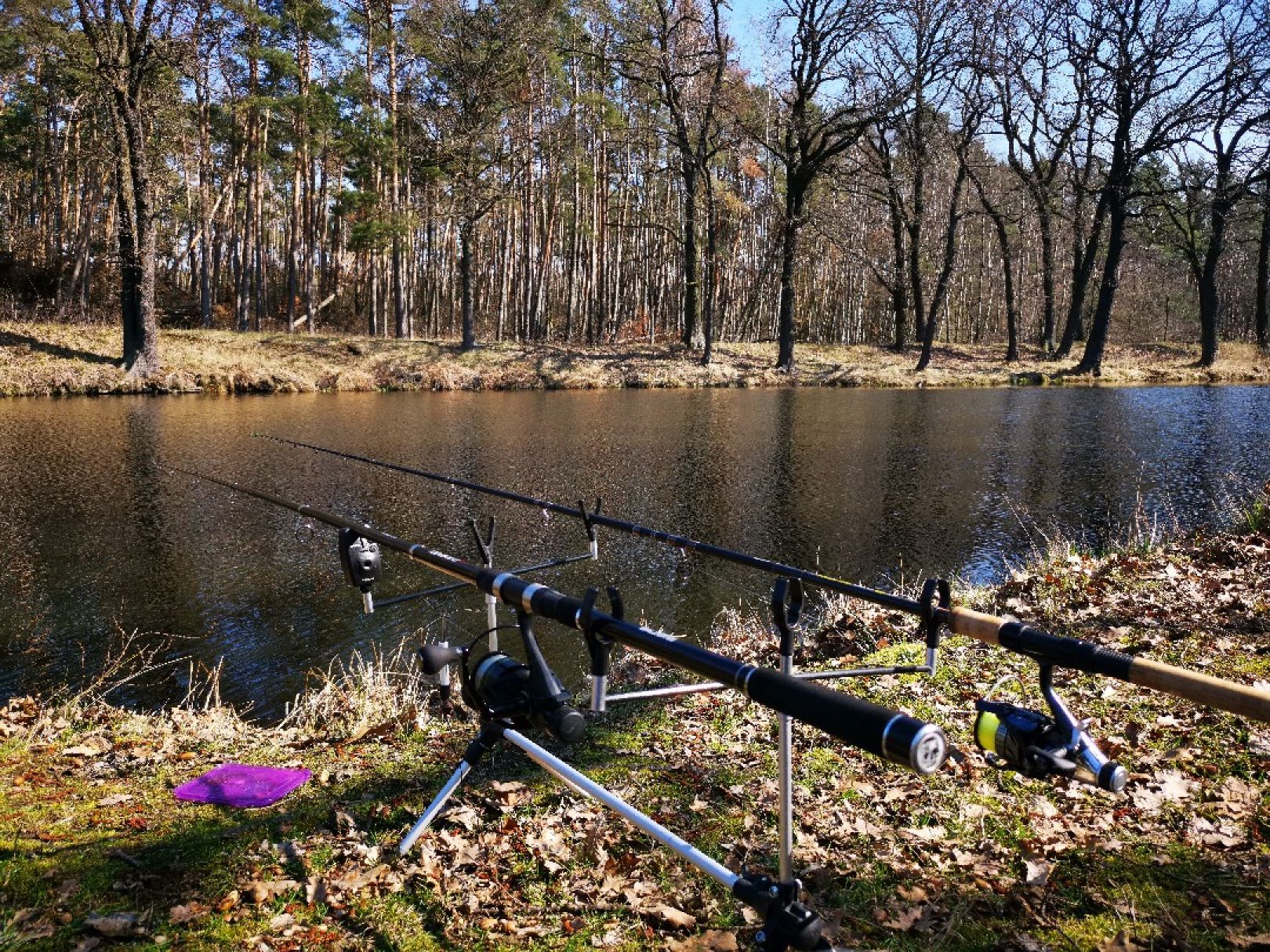 Gänsewinkel (Prieschka) angeln