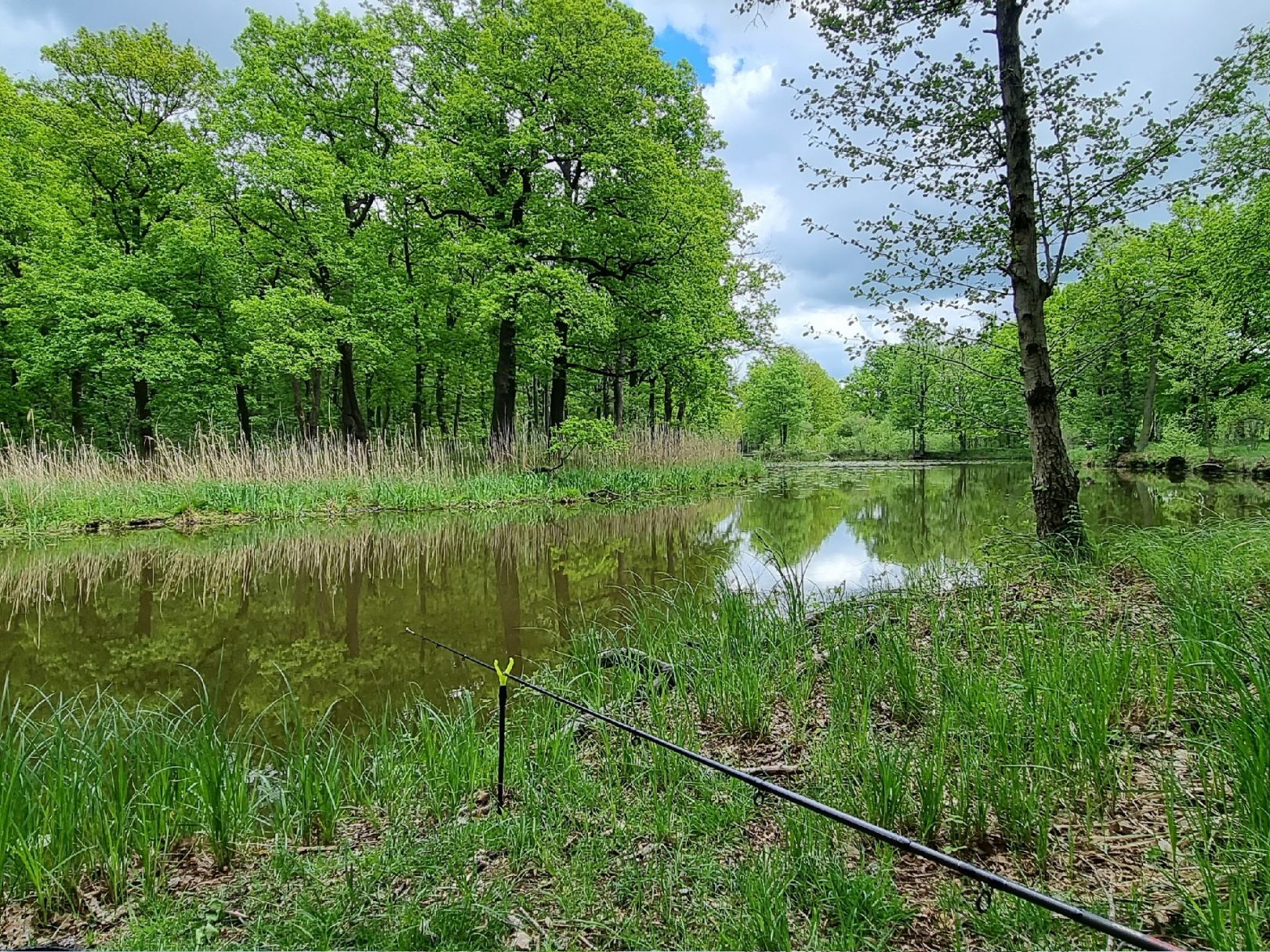 Gänsewinkel (Prieschka) angeln